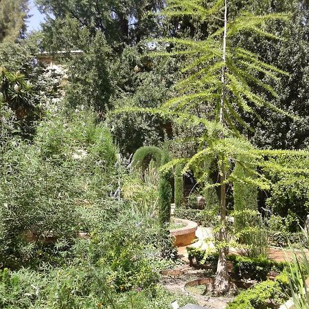Apartamento Catedral Centro Granada Eksteriør bilde